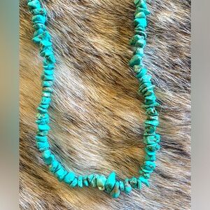 Long Turquoise Necklace